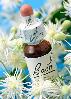 bach flower remedies