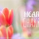 heart chakra